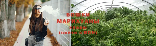 сатива Костерёво