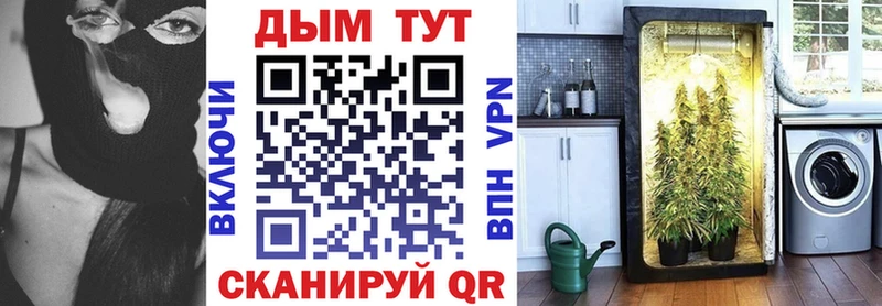 Купить  Новоржев  Марихуана SATIVA & INDICA 